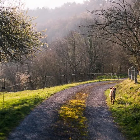 منزل ريفي El Gran Sueno Boutique & - Adults Only Pintueles