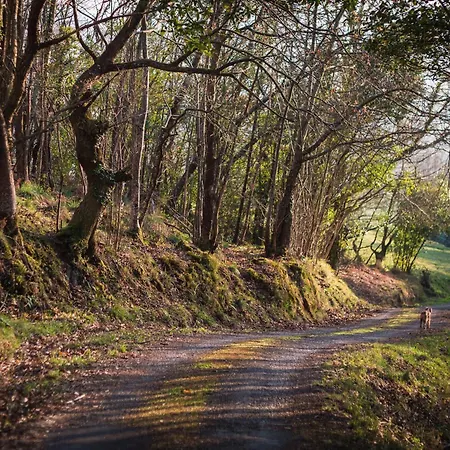 Country house El Gran Sueno Boutique & - Adults Only