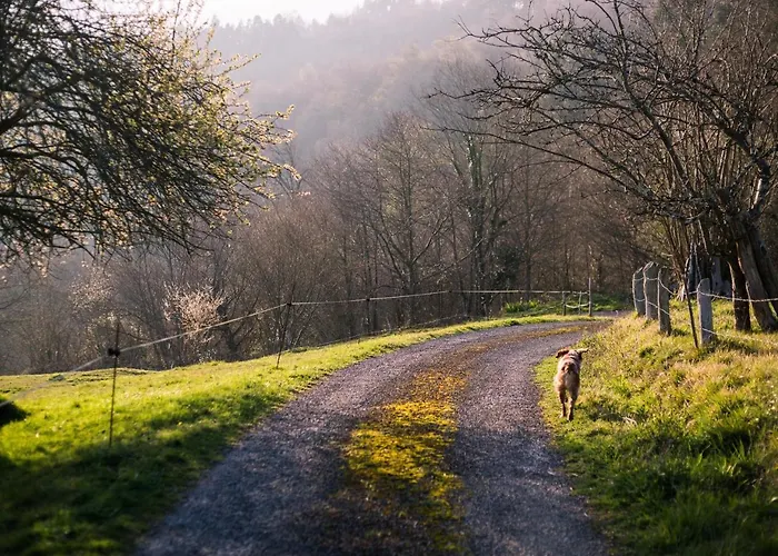 Country house El Gran Sueno Boutique & - Adults Only Pintueles