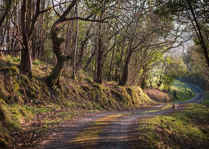 Country house El Gran Sueno Boutique & - Adults Only